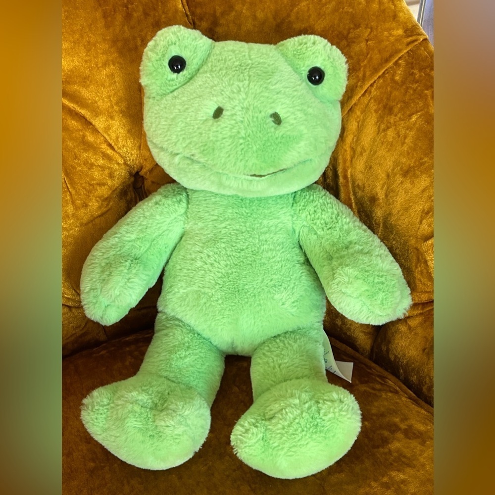 Build-A-Bear workshop froggy stuffed